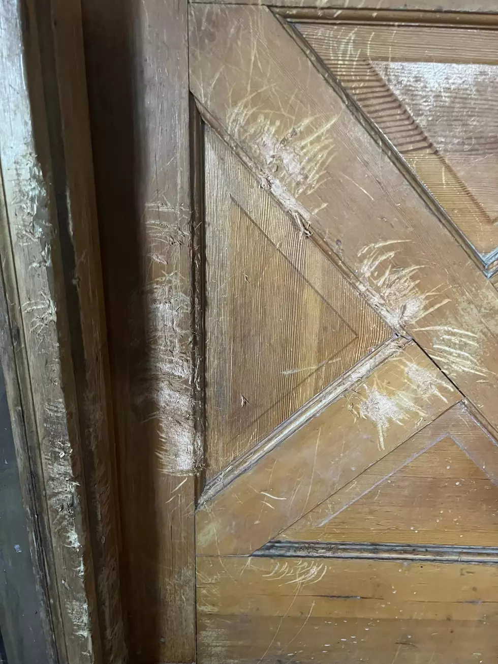 Unknown Creature Leaves Strange Marks On Door On Home In Buhl