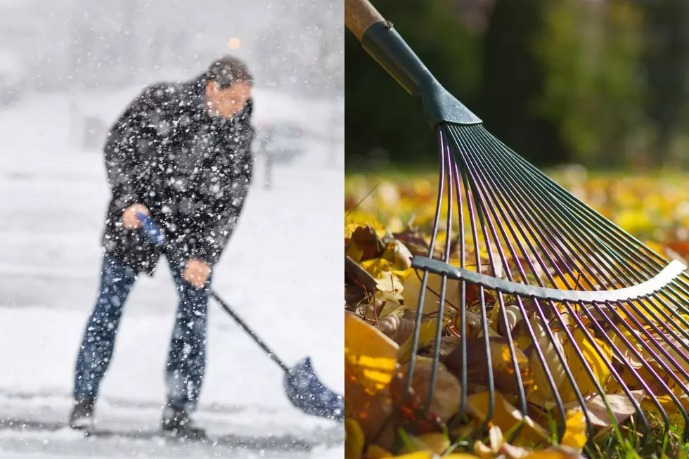 Which Chore Sucks More? Raking Leaves or Shoveling Snow in Idaho