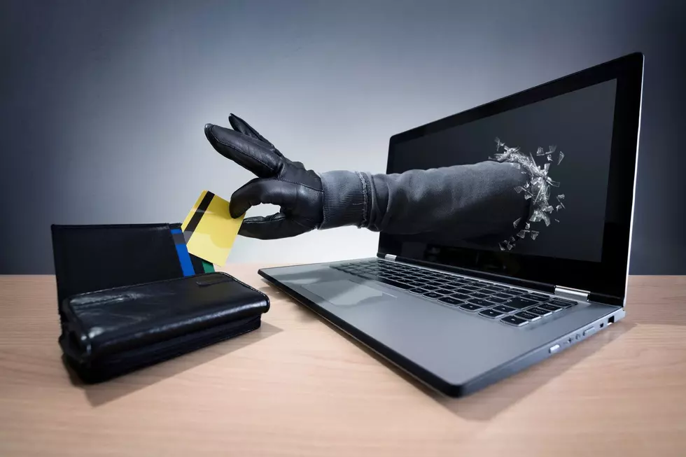 How Concerned Should You Be About Identify Theft and Fraud in Idaho?