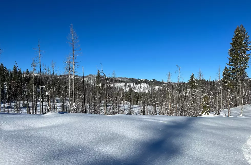 Majestic Snowshoeing/Ski Escape 3 Hours from Twin Falls