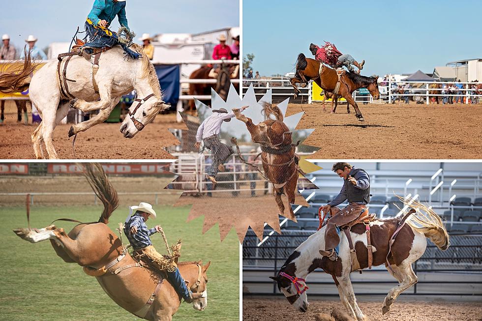 Fun Memorial Day Weekend Rodeo in Southern Idaho With Dirty Rotten Buckers