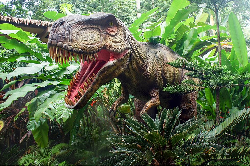 Ogden Dinosaur Park vs. Dinosaurland Which is Best for You?