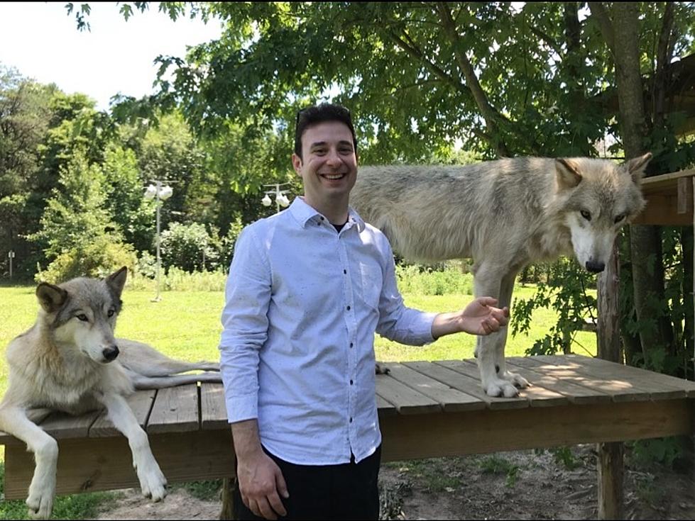 Get Up Close & Personal With Wolves In New Jersey