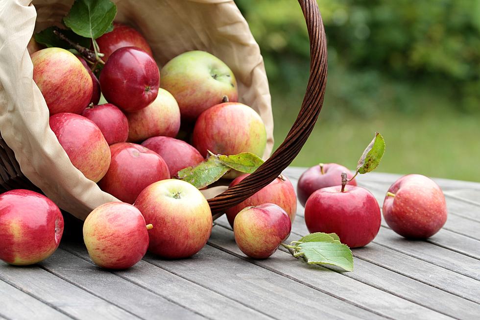 Is Apple Picking The Best Fall Activity Or A Complete Scam?