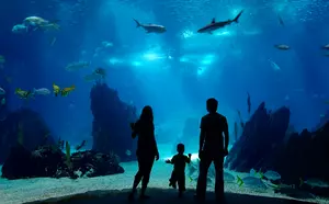 Aquatic Experience Convention comes to New Jersey This Weekend