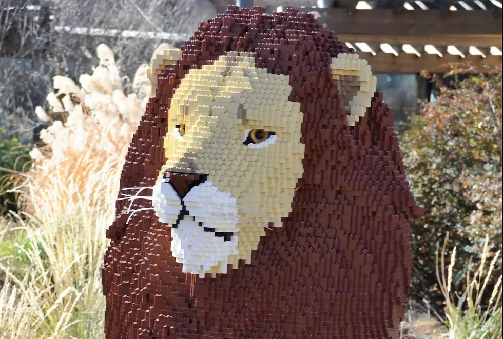 Life-Size Animals Made of LEGOs Are Coming To Philly Zoo