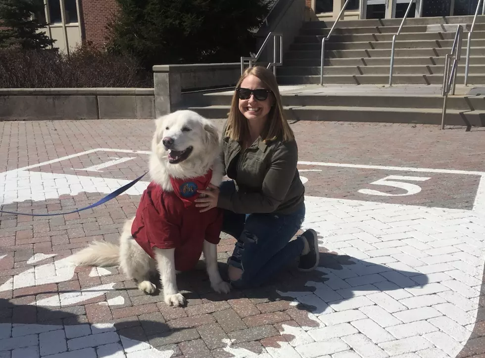 Meet Cody! Rider University’s Therapy Dog!