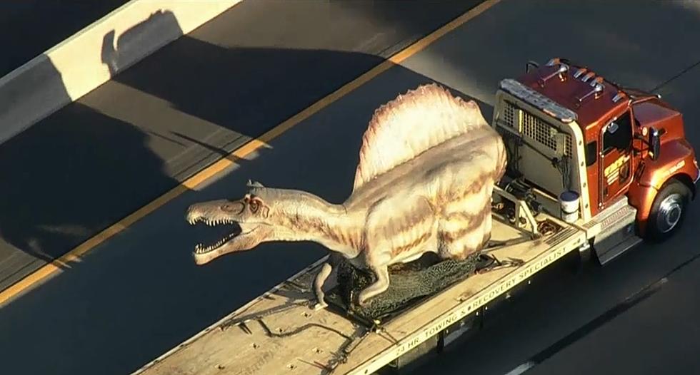 A HUGE Dinosaur Crossed The Ben Franklin Bridge This Morning