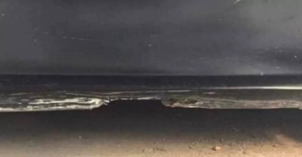 Is This a Photo of the Beach or a Car Door? – VIRAL PHOTO