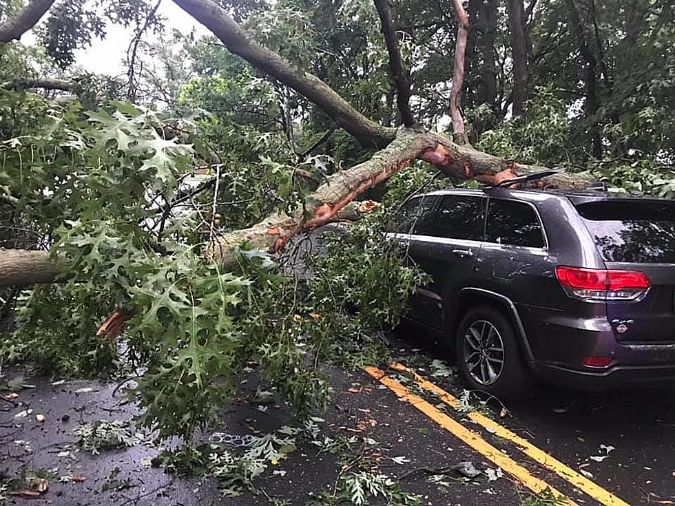 PHOTOS: Thunderstorms Uproot Trees & Leave Parts of Burlington, Mercer, & Bucks County in the Dark
