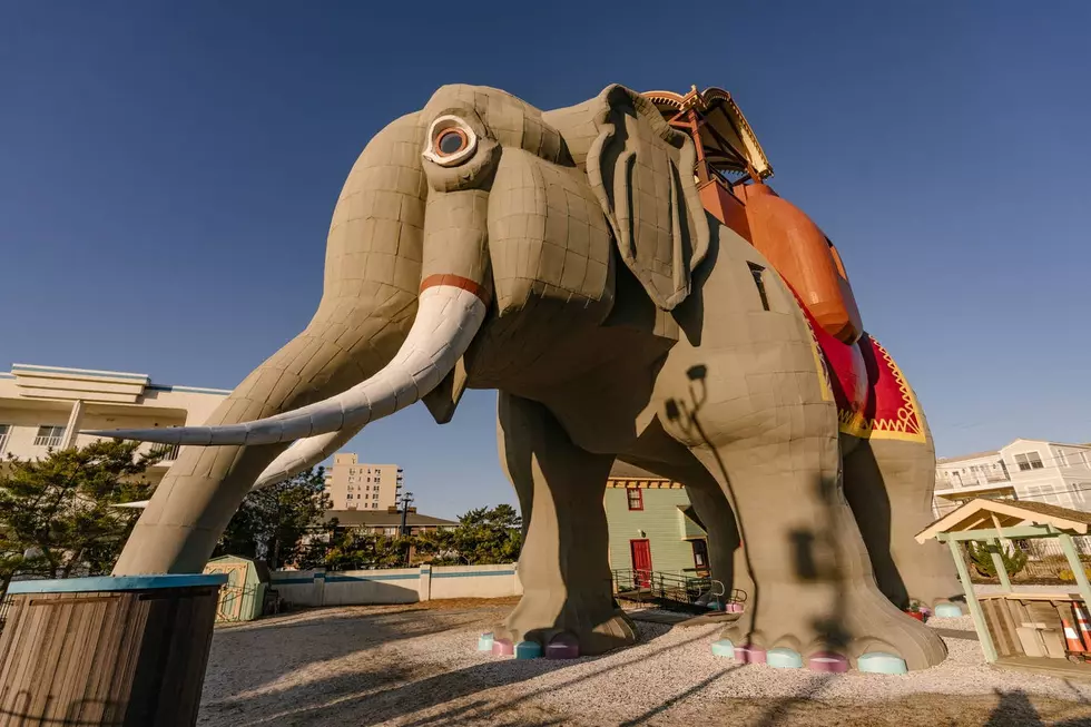OMG! You Might Be Able To Stay Overnight in Lucy the Elephant