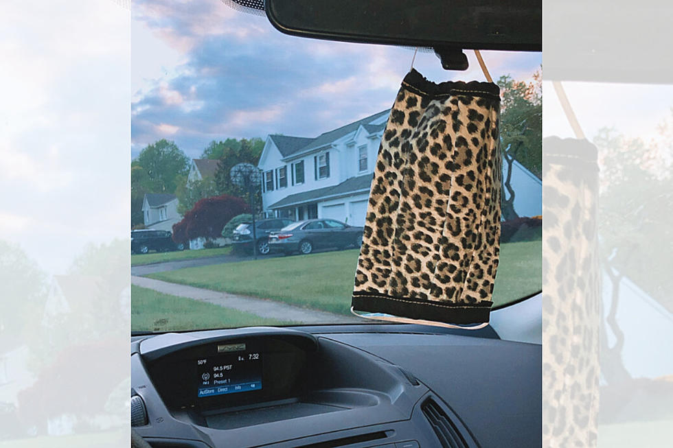 It’s Illegal To Hang Your Face Mask From Your Car’s Rearview Mirror in New Jersey & Pennsylvania