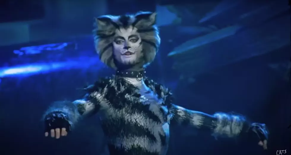 You Can Stream The Broadway Production of ‘Cats’ For Free This Weekend (May 15)