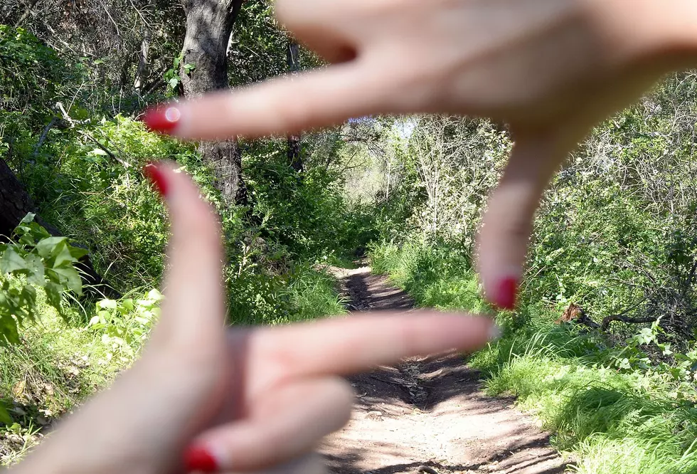 Trails with the Best Scenic Views for Instagram