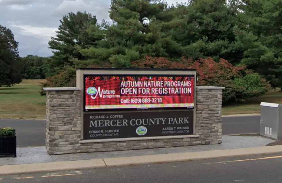 Mercer County Park Hosting Free Drive-In Movies and Concerts