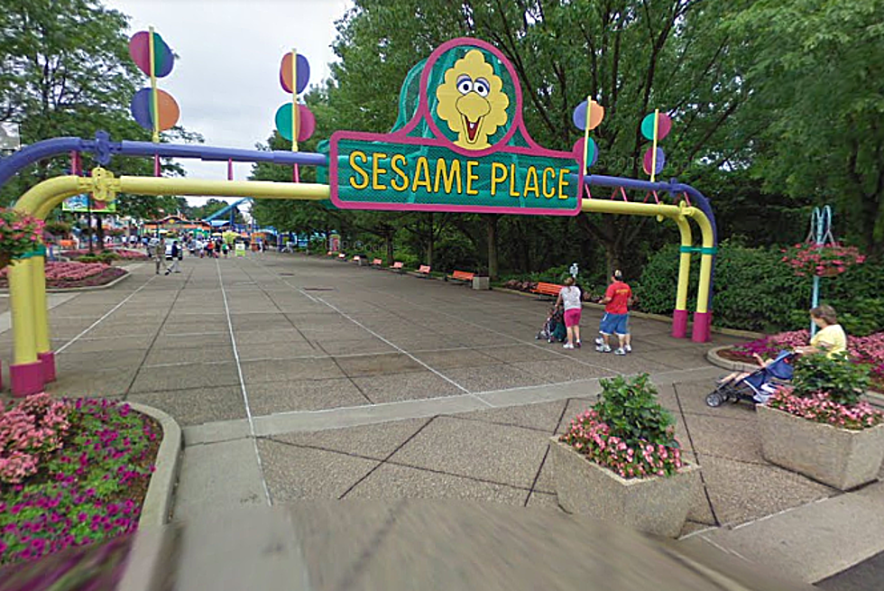 Arrest Made in Sesame Place Attack