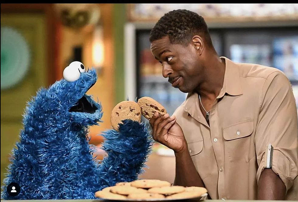 Sesame Street will Air Episode to Teach Kids About Racism