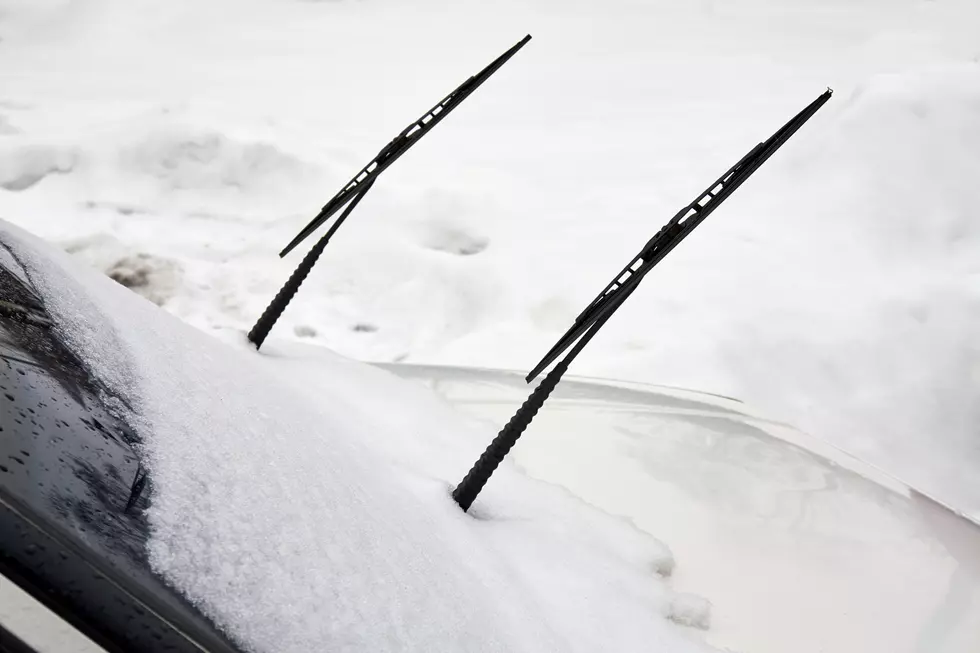 Use pool noodles to protect your windshield wipers from freezing