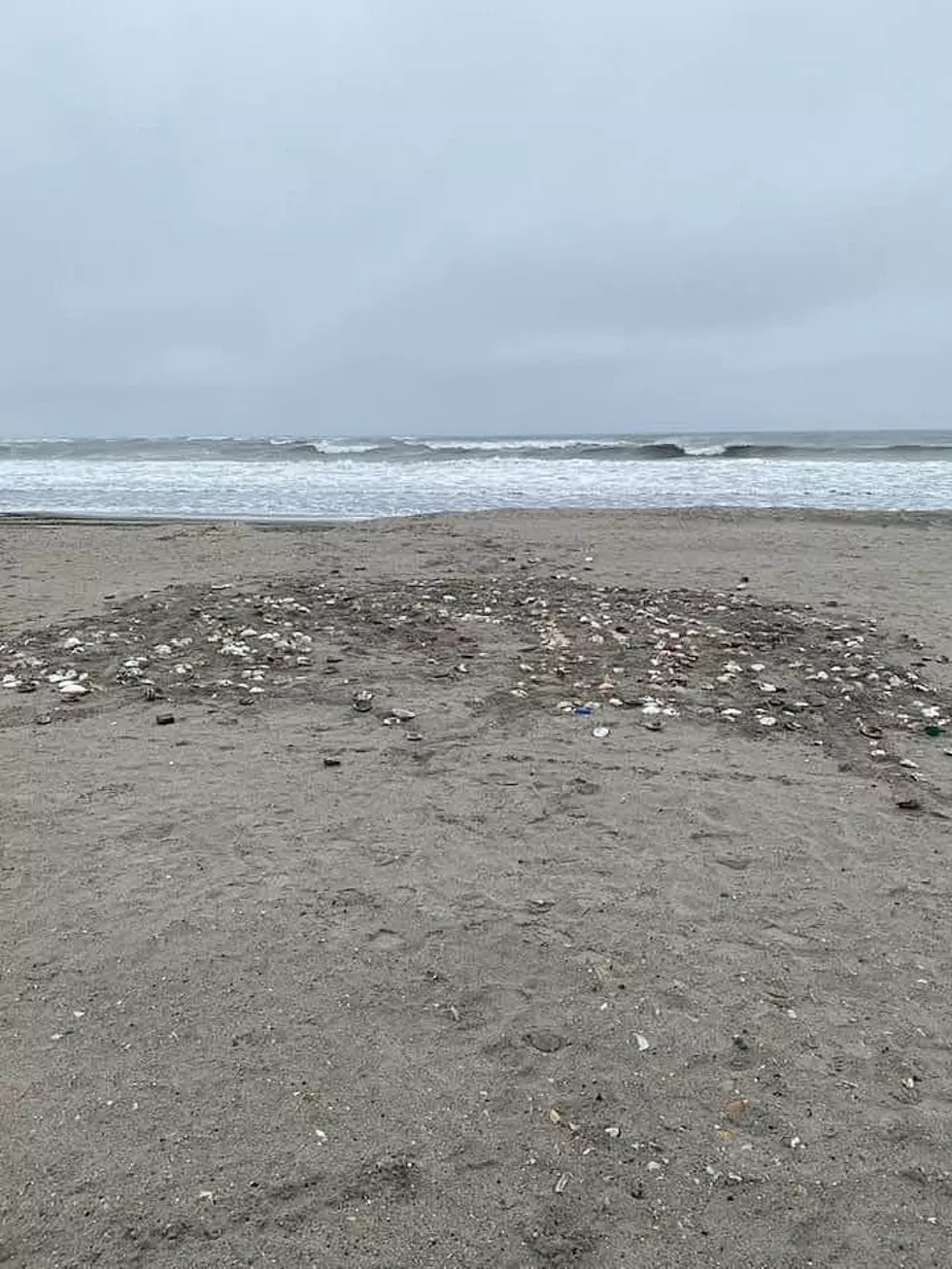 Jersey Shore Town Not Deterred After Vandals Ruin Shell Art