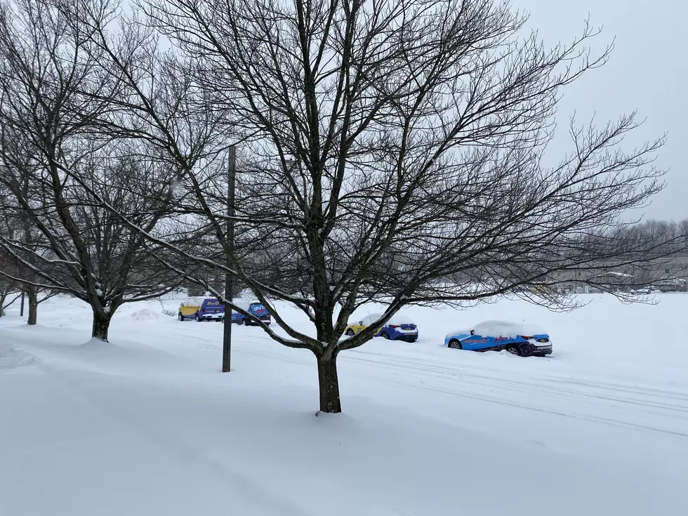 SNOW TOTALS: 10″ of Snow Reported in Mercer County on Thursday