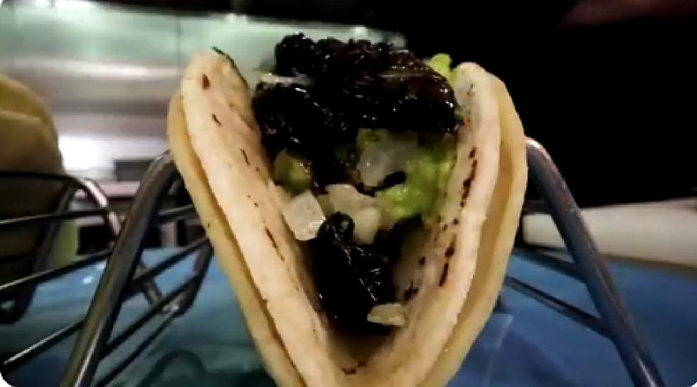 Are Cicada Tacos Coming to New Jersey?