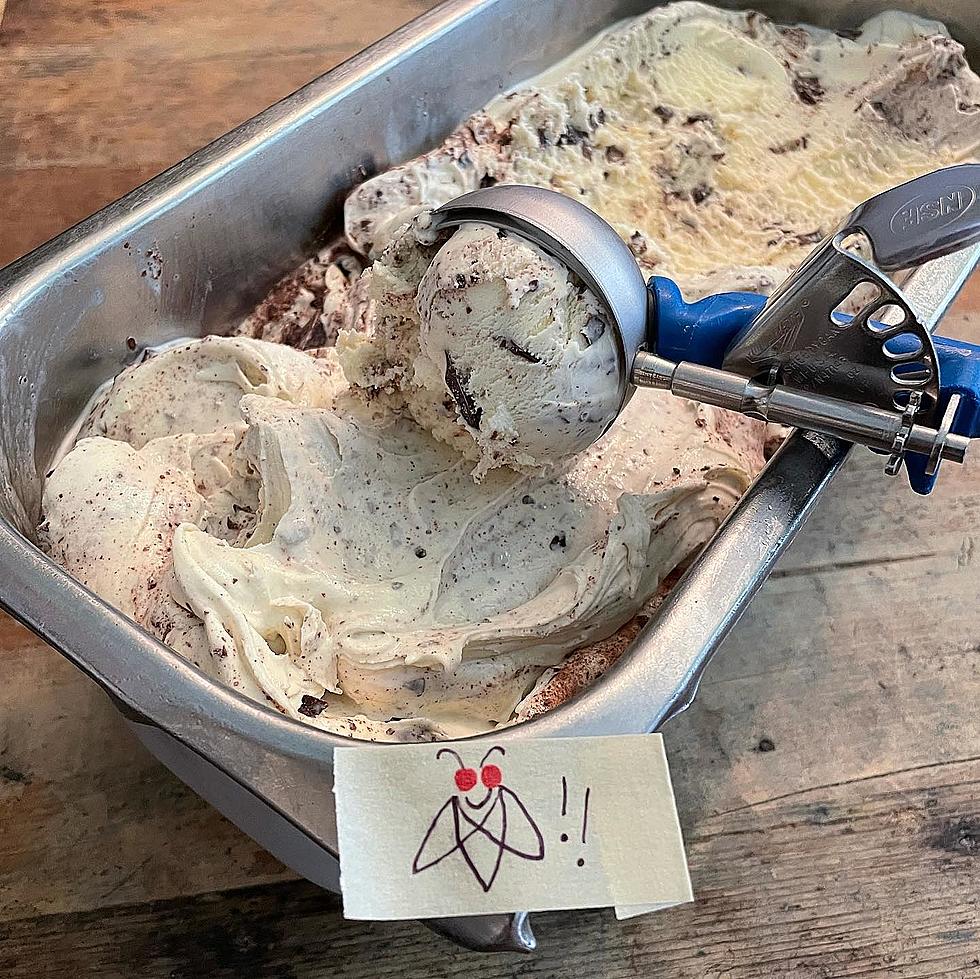 Princeton NJ Ice Cream Shop Named Best in the State