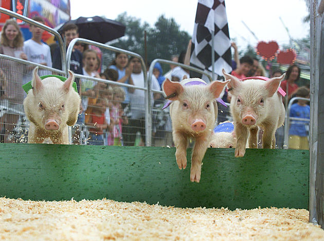 46th Annual Monmouth County Fair: What To Know Before You Go This Weekend