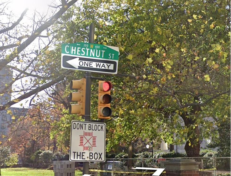 Why Are All of Philadelphia’s Streets Named After Trees?
