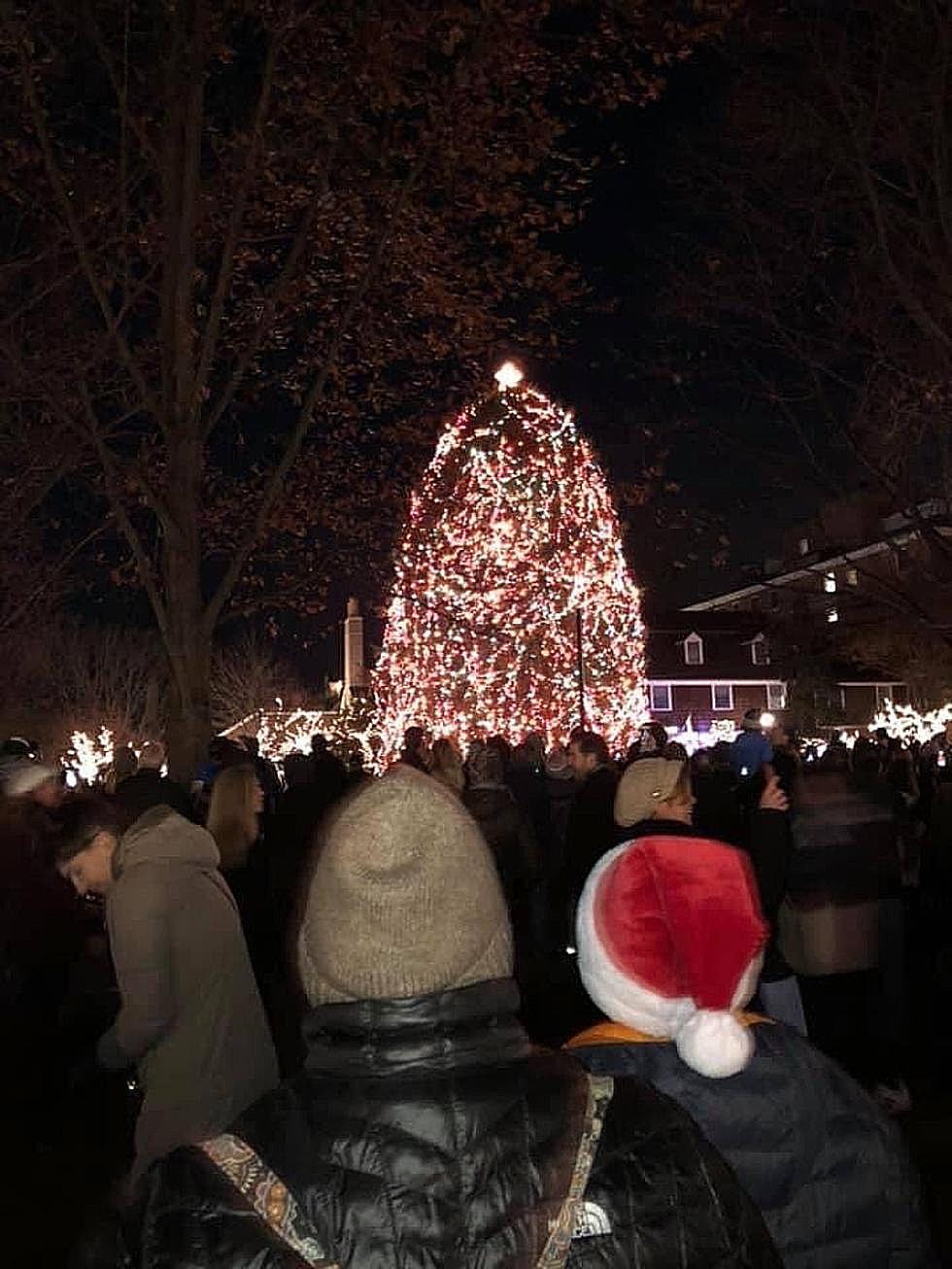Date Set for Palmer Square Christmas Tree Lighting in Princeton, NJ