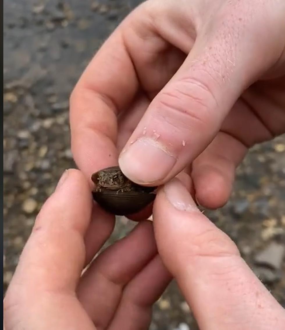Watch This Tik Toker Convince People of a Rare Species That Only Exists in Central Jersey