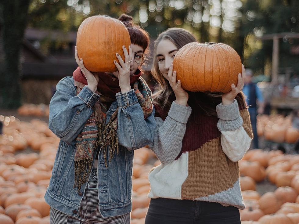 Top Places To Go Pumpkin Picking This Fall In Bucks and Mercer County