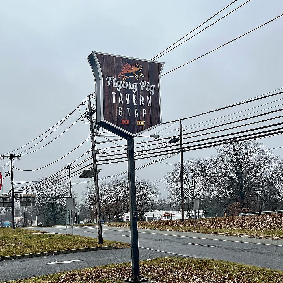 Flying Pig Tavern & Tap Now Open in Bordentown, NJ