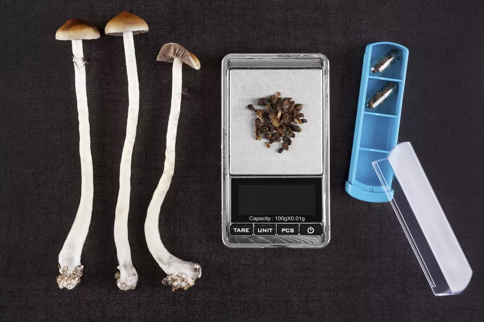 New Bill Proposes to Legalize &#8220;Magic Mushrooms&#8221; In NJ