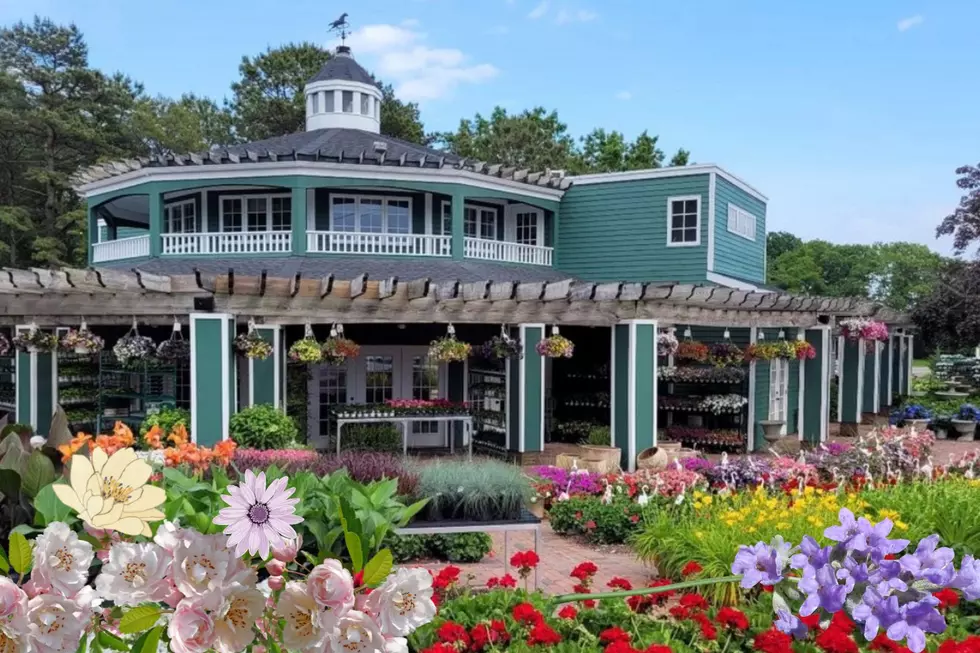 New Garden Center Opens In Manasquan, NJ After Plans For Wawa Fall Through