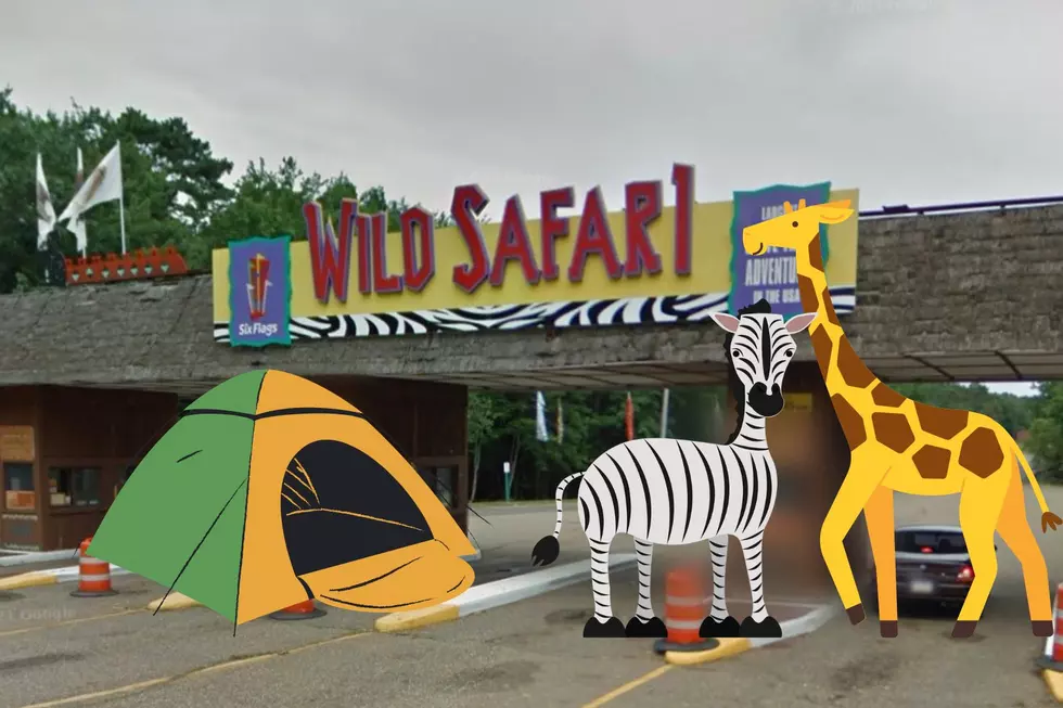 Sleep Under The Stars With The Safari Animals At Six Flags: Great Adventure