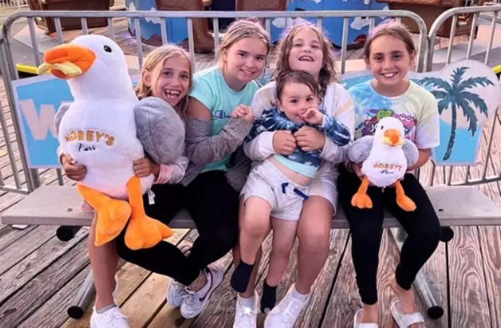 Everyone’s Trying to Win the New Cute Mascot of Wildwood, NJ