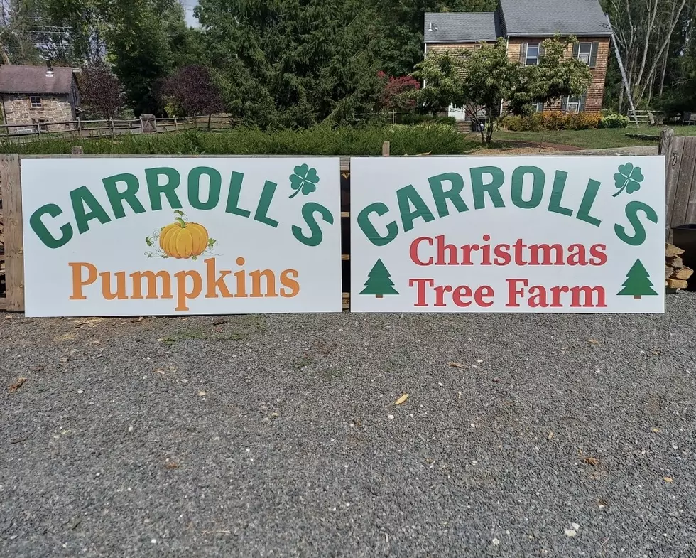Carroll’s Christmas Tree Farm in Lawrence, NJ Expands with Fall Fun