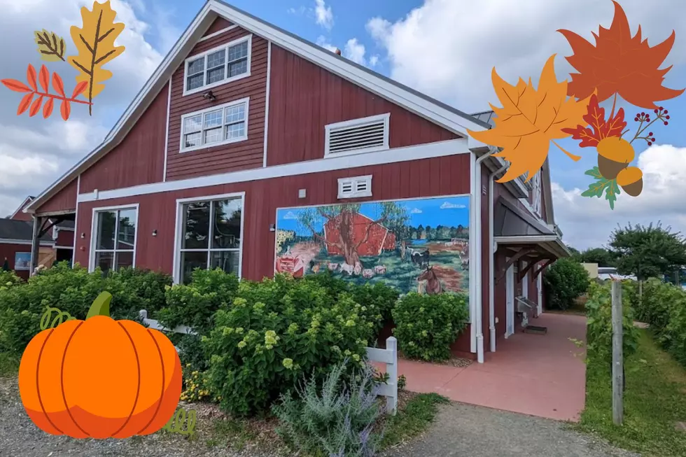 Start Fall Off Right At Terhune Orchards’ Fall Weekend Festivals
