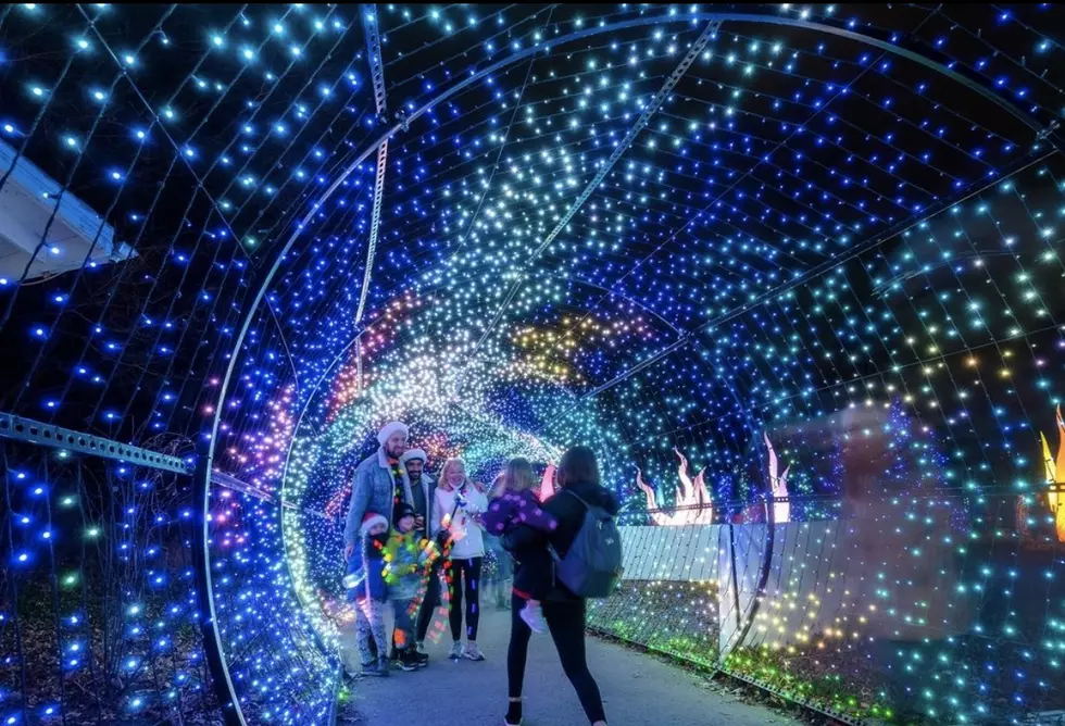 Take A Look Inside Philadelphia’s LumiNature Light Show For 2022