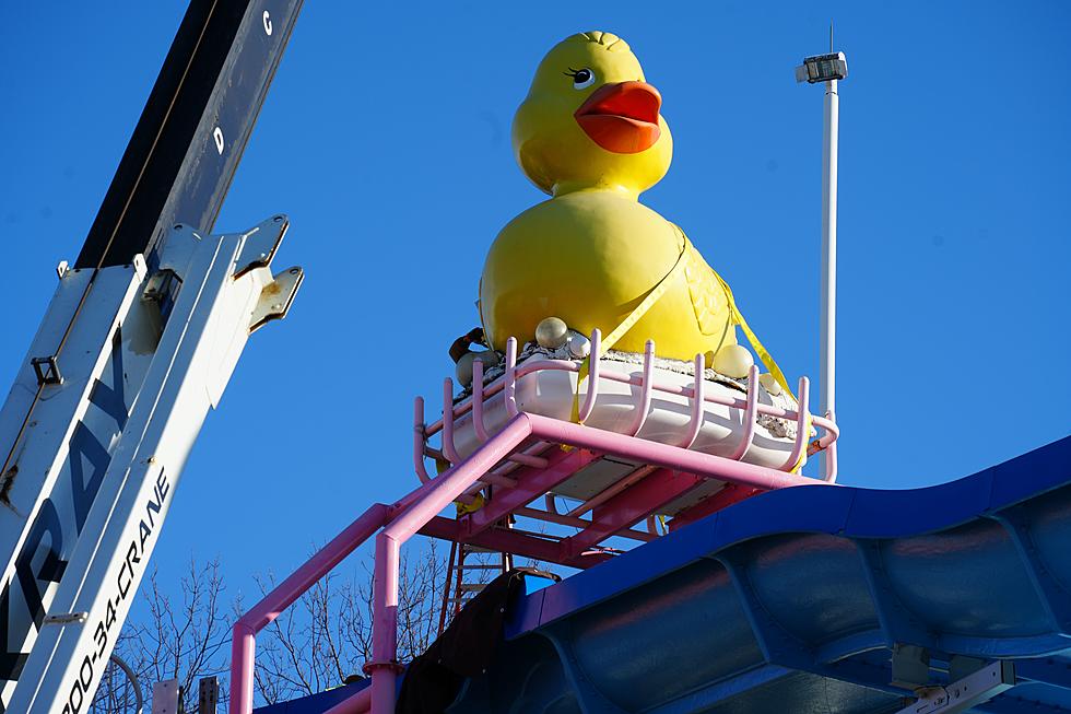 Oh No! Iconic Rubber Duckie Gone from Atop Sesame Place in Langhorne, PA