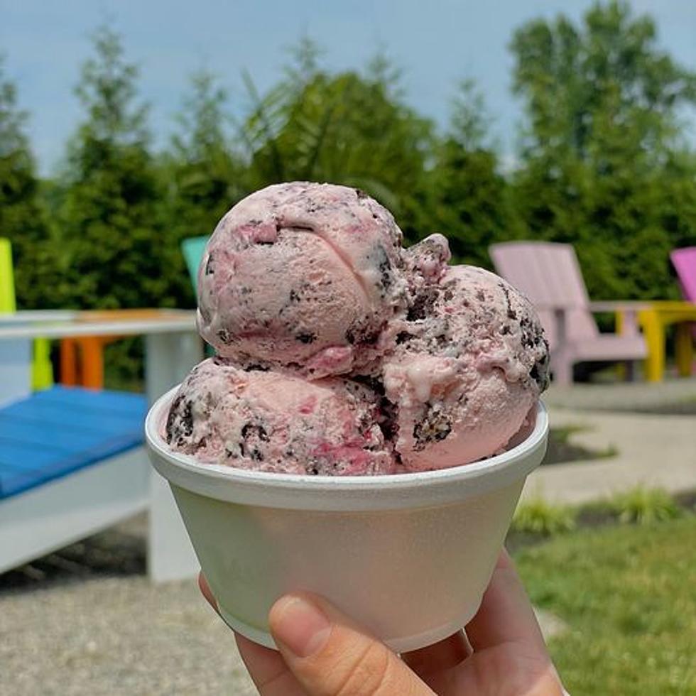 Ice Cream Shop Names Flavor After Bordentown, NJ Police Dog