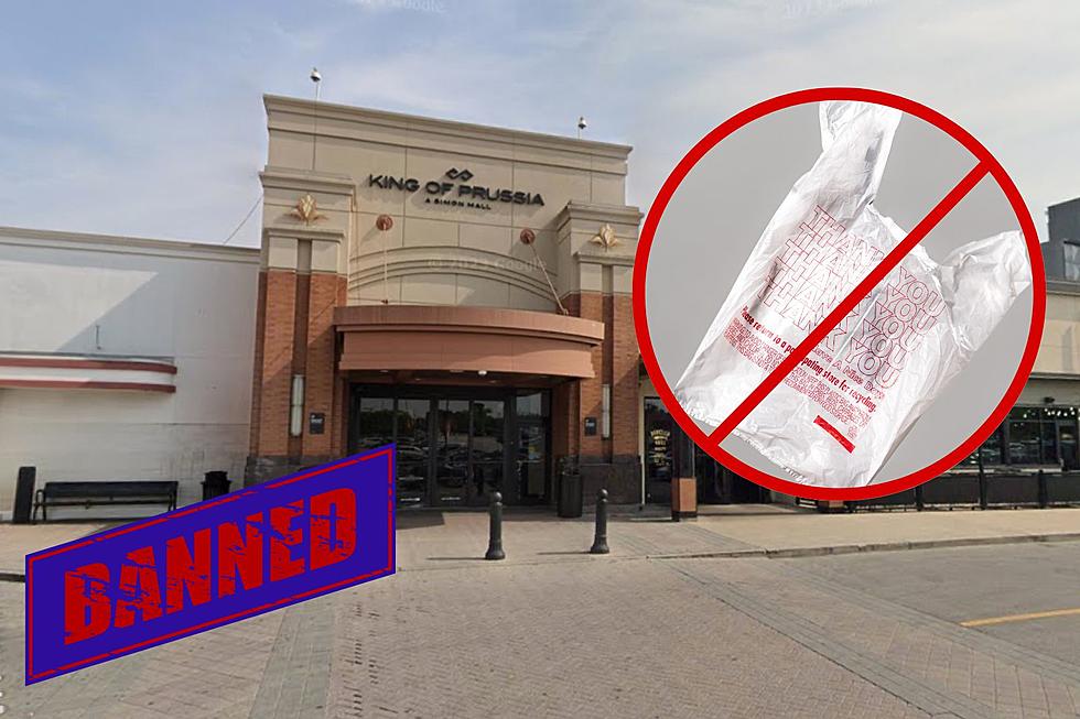 Grab Your Reusables! The King of Prussia Mall Will BAN Plastic Bags Starting Next Year