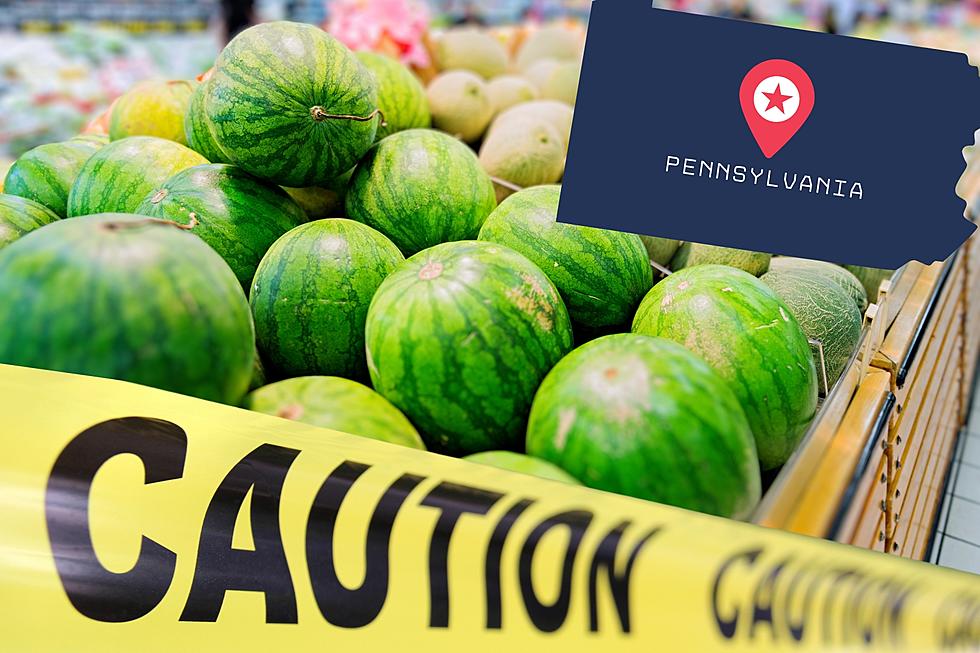 WARNING! Foaming Watermelons Now Found In Pa Are REALLY Dangerous