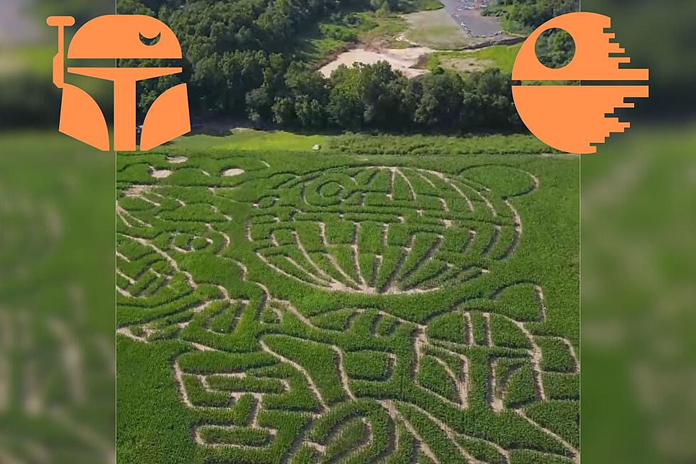 The Force Is Strong With This ‘Star Wars’ Themed Corn Maze in NJ
