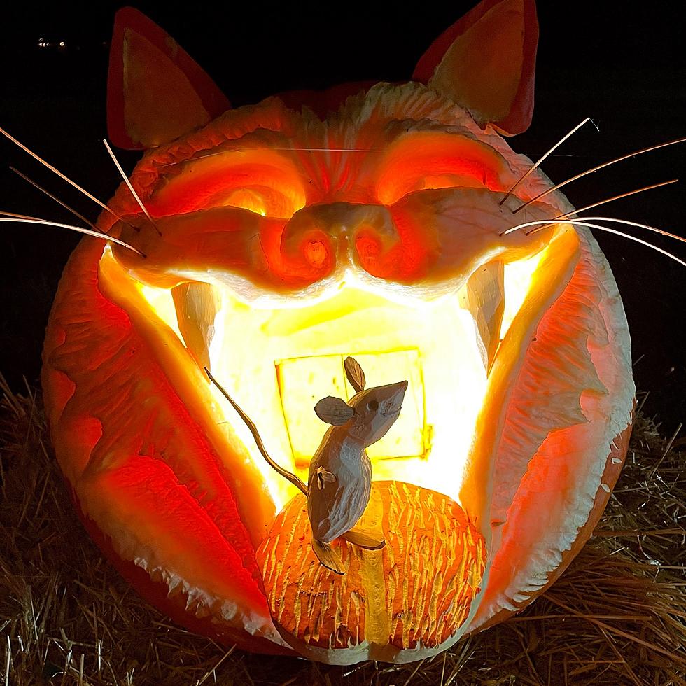 Amazing Pumpkin Carve is Back in Hopewell, NJ for Its 9th Year