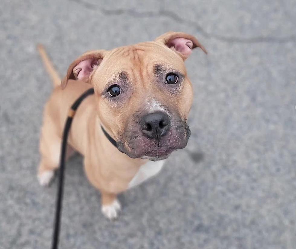 URGENT: This Philly Shelter is at Critical Capacity, Forced to Make Heart-Breaking Decisions