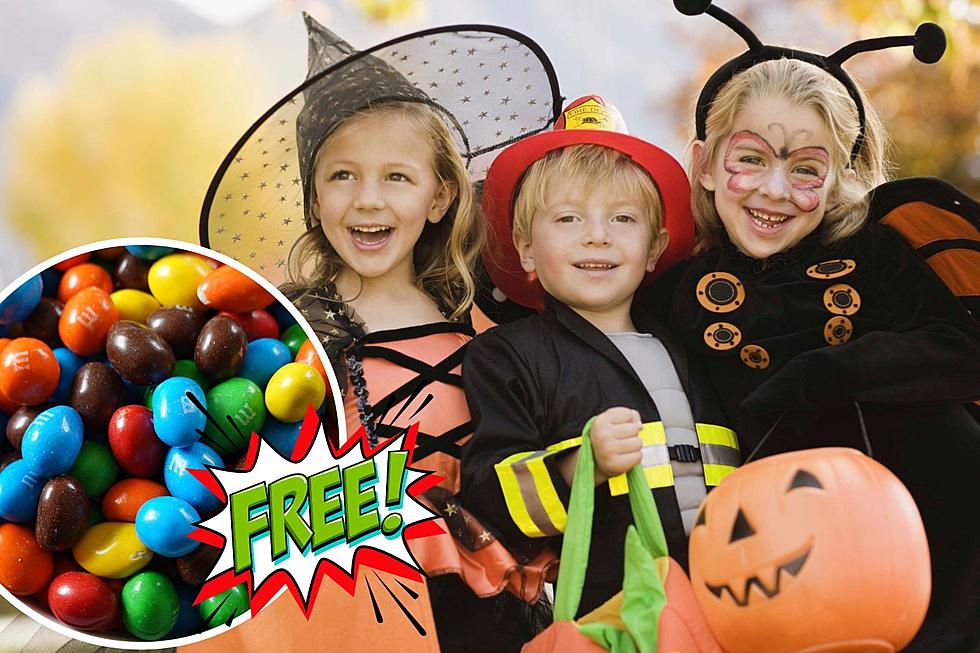 Run Out of Candy? Here&#8217;s How You Can Get FREE Candy Delivered on Halloween!