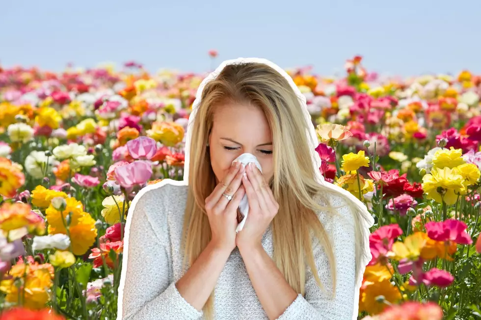 When Are The Worst Months For Spring Allergies In New Jersey?