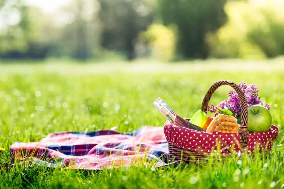 Must-Haves for National Picnic Day
