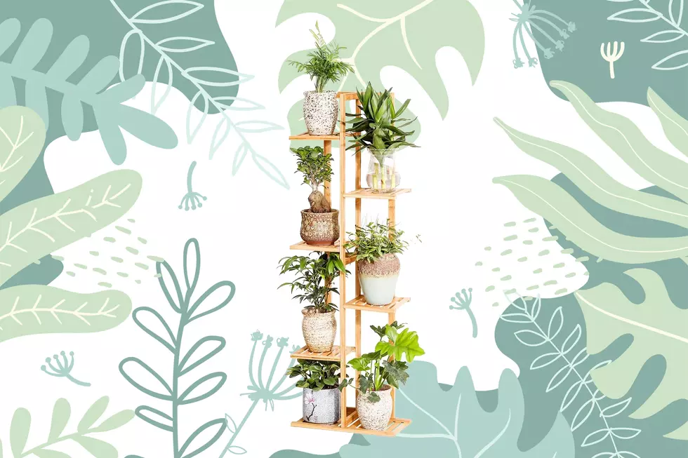Turn Your Living Space Into a Lush Indoor Garden With These Items